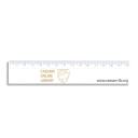 Image of rHIPS.b 15cm Ruler